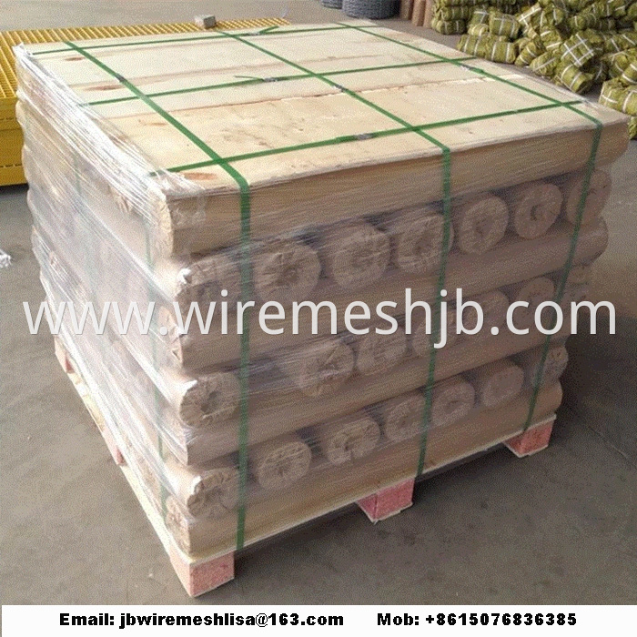 Brass wire mesh/ Copper Wire Mesh